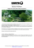 Scarica versione PDF