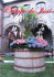 di Massimo Santini - Rivista "Campo de` Fiori"
