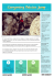 scheda per pdf