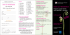 Pieghevole Endometriosi marzo 2010 - AGEO
