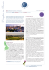ESE Junior PDF - Oxford Viaggi