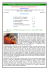 NEWSLETTER Sai VibrionicA