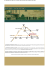 IL RISTORANTE DELLA CASCINA DELL`OLMO IN OLTREPO