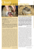 anima.lin∞61:Layout 4