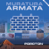 Muratura Armata
