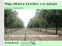 Presentazione introduttiva all`agroforestazione (download)