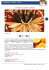 SCORZE DI ARANCE CANDITE Ingredienti per