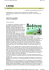 Page 1 of 2 L`Arena - Il Giornale di Verona 27/08/2008 http://2002