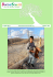 Click per scaricare la newsletter in formato PDF