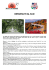 Clicca qui per visualizzare il programma!