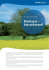 GSI 7 0101_12_Biomass_IT.indd