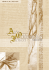 Rivista PDF
