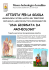 attivita` per la scuola - Associazione Archeologica Lomellina