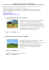 Viñales – Excursiones y Actividades