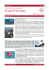 Newsletter 1/2013Torino edintorni