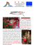 percorso in rosso - Comune di Saint Rhemy en Bosses