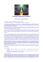 Messaggi canalizzati da Monique - blog: spirituale