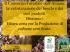 Consorzio forestale dell`aMIATA