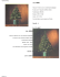 tecnid alberi