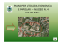 PIANO PER L`EDILIZIA ECONOMICA E POPOLARE – NUCLEO N. 4