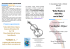 viola brochure.pub - Venite e Vedrete Onlus