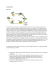 SO 14040 LCA Che cos`è LCA (Life Cycle Assessment