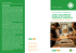 Brochure - Scuola Superiore Sant`Anna