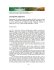 Stratigrafie salgariane - Incontri. Rivista europea di studi italiani