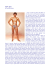 Mark Spitz