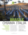 a 1.300 metri di altitudine in brasile si produce icewine