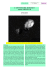L`ASTEROIDE BINARIO 3905 DOPPLER