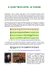 L`Antica musica