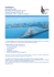Invito_Missione_India_Sicindustria_29_7_2016_PA_def