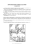 Scarica l`articolo in pdf