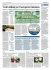Corriere della sera