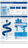 Economic Infographic: Febbraio 2016