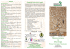 Musicoterapia in Oncologia - Atelier di Musica di Biella