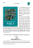 Arte e Pelle - Centro Studi GISED