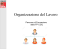 organizzazione del lavoro