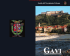 Copertina Gavi.qxd - archiviostorico.net