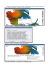 1 Adobe Photoshop CS .8.0 italiano.> (programma di