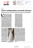 MFFashion 4nov14 - Borsa del matrimonio in italia