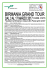 scarica il pdf - Primavera Viaggi
