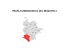 profilo demografico del municipio x
