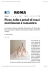 Pizzo, tulle e petali di rosa il matrimonio è romantico