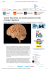 Tumori: Neuromed, con studio anatomia cervello chirurgia `rispettosa`