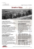 Programma in PDF