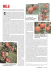 SUPPL. TERRA E VITA n. 24/2005 - 41 Gli orientamenti
