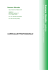 curriculum PAT 2013