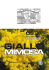 Giallo mimosa (pdf - 412,3 KB)